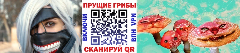 Галлюциногенные грибы Psilocybine cubensis  ОМГ ОМГ ССЫЛКА  Пойковский 